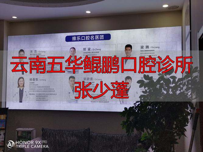 昆明五华鲲鹏口腔诊所张少蓬，擅长啥项目？资历经验咋样？