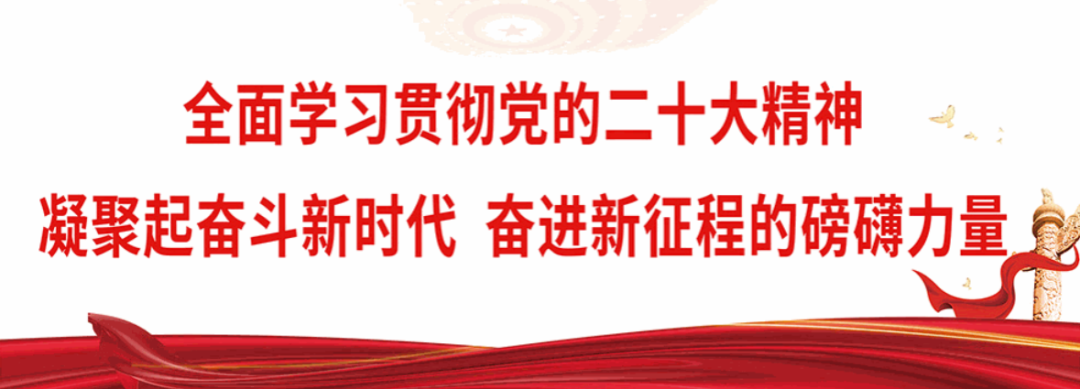 赤峰口腔种植体‮采集‬降价900元_四级纯钛种植体系统价格_遵义铂菲口腔门诊部种植牙价格